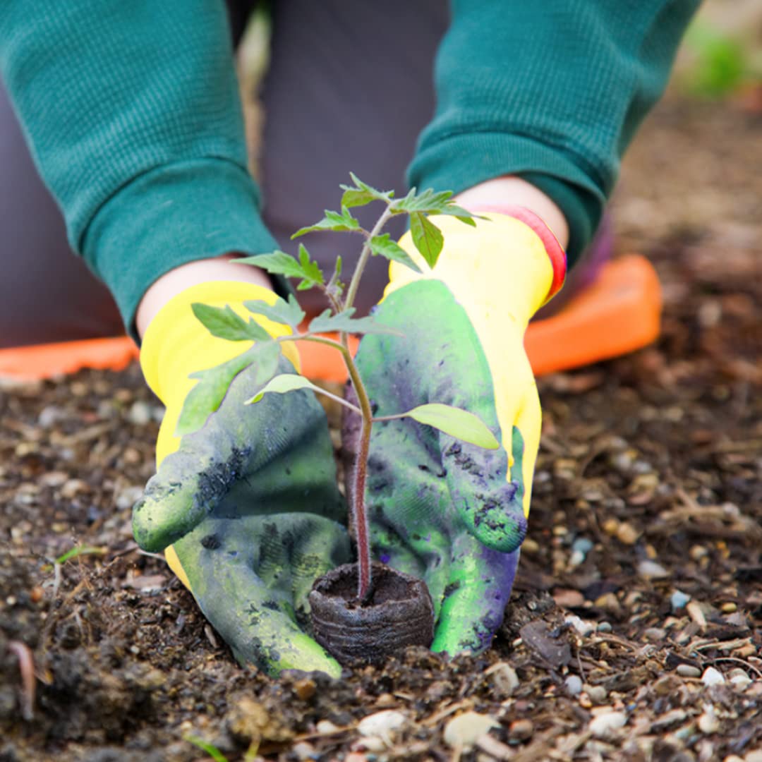 GardenTrails Reusable High Quality Garden Hand Gloves Pair - Green