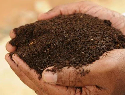 GardenTrails Enriched All Purpose Potting Soil Mix -5 Kg and Enriched Organic Manure -1 Kg Jar