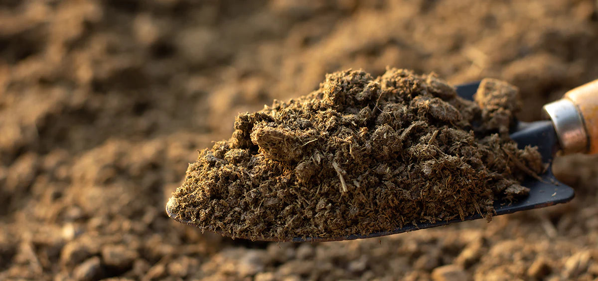 GardenTrails Premium Organic Cow Manure - 5 Kg