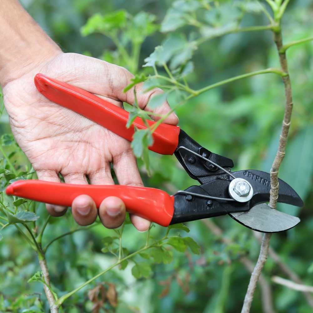 Heavy Duty Garden Pruner - Garden Secateurs