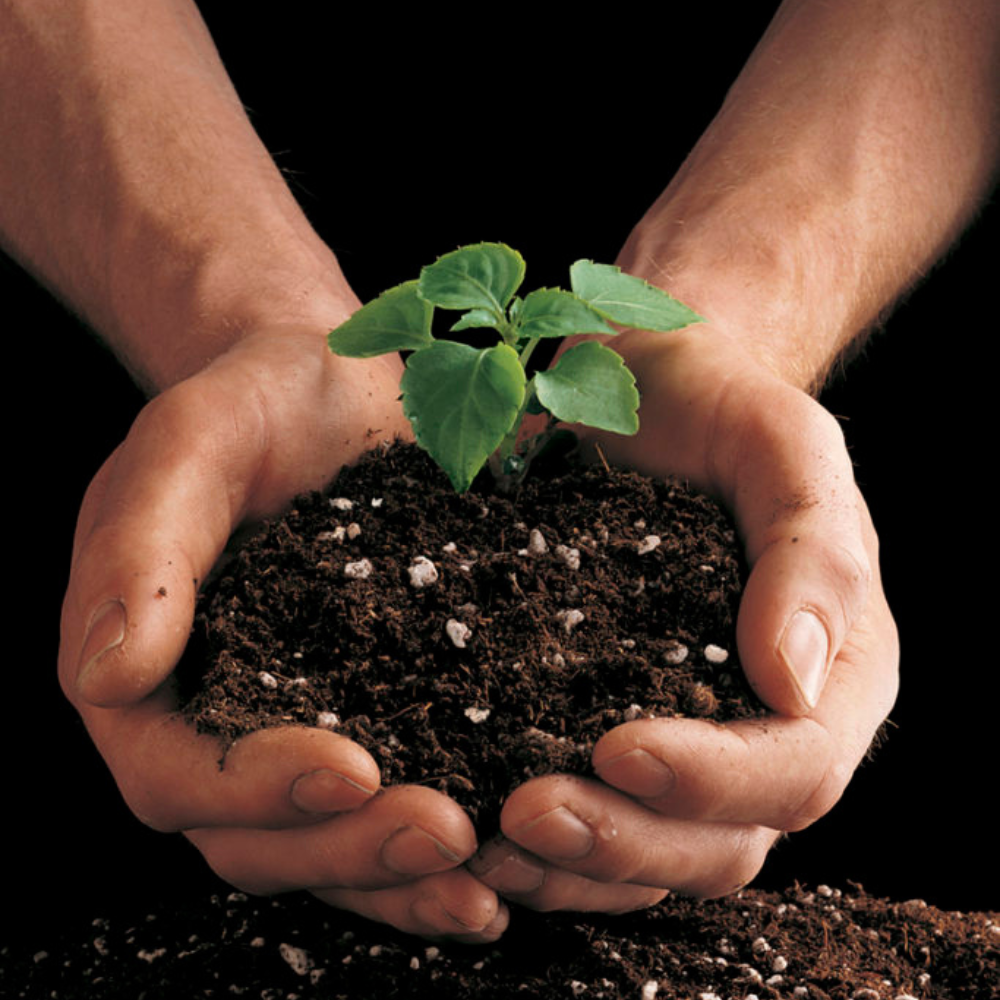 GardenTrails Premium Organic Potting Soil Mix Enriched With Organic Manure for All Plants - 5 Kg