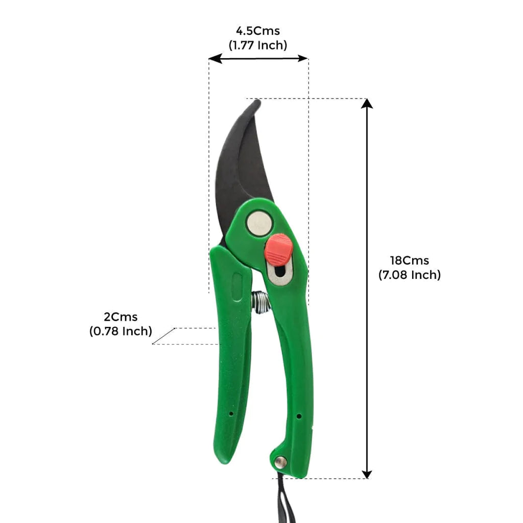 Garden Scissor for Pruning Plants, Premium - Multicolour