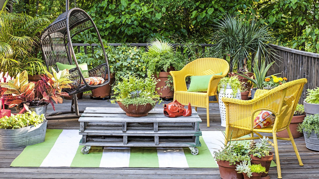 Beginner’s Guide to Balcony Gardening: Grow More in Less Space