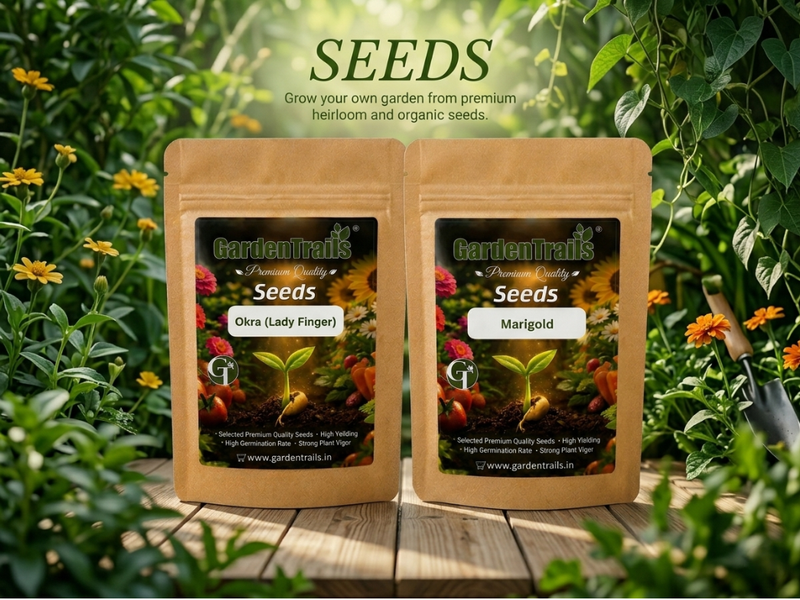 Seeds
