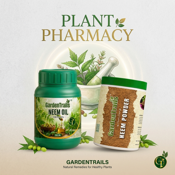 Plant Pharmacy