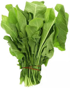 GardenTrails Palak Seeds for Home Gardening – High Germination Spinach Seeds