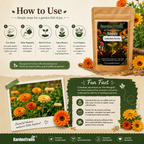 GardenTrails Calendula FG Mix Seeds – Premium Mixed Color Flower Seeds for Home Gardening