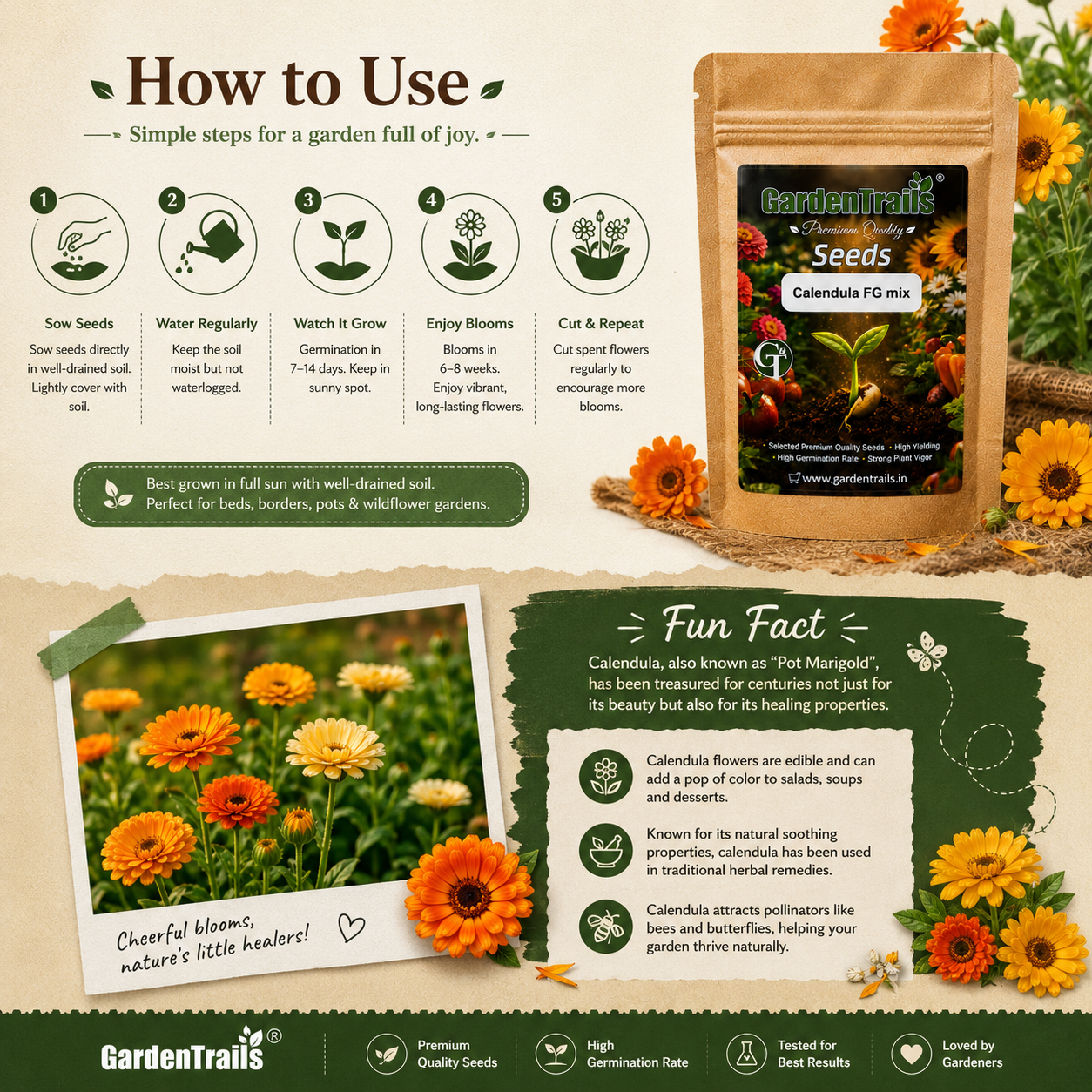 GardenTrails Calendula FG Mix Seeds – Premium Mixed Color Flower Seeds for Home Gardening
