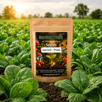 GardenTrails Palak Seeds for Home Gardening – High Germination Spinach Seeds