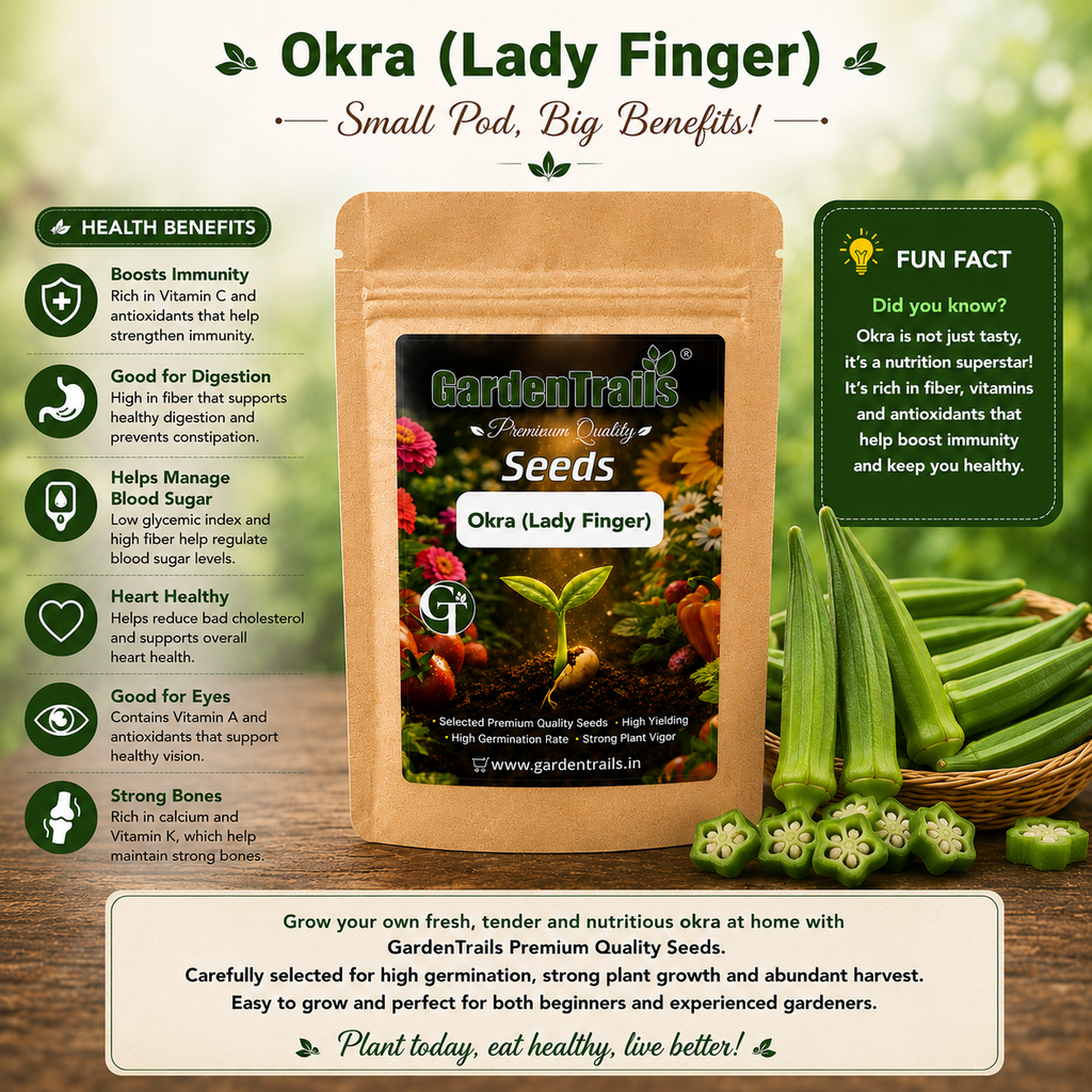 GardenTrails Lady Finger Seeds for Home Gardening – High Germination Okra Seeds