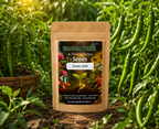 GardenTrails Premium Green Chilli Seeds – Grow Fresh Spicy Chillies at Home