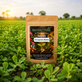 GardenTrails Premium Fenugreek (Methi) Seeds – Grow Fresh Healthy Greens at Home