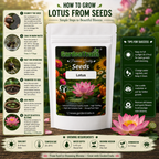 GardenTrails Lotus Flower Seeds
