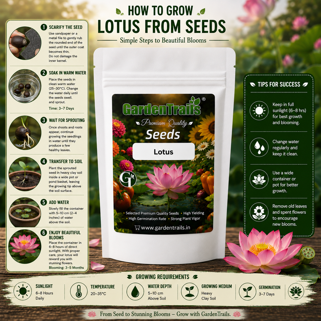 GardenTrails Lotus Flower Seeds
