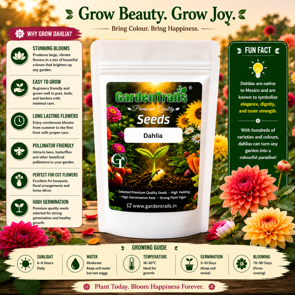 GardenTrails Dahlia Mixed Flower Seeds