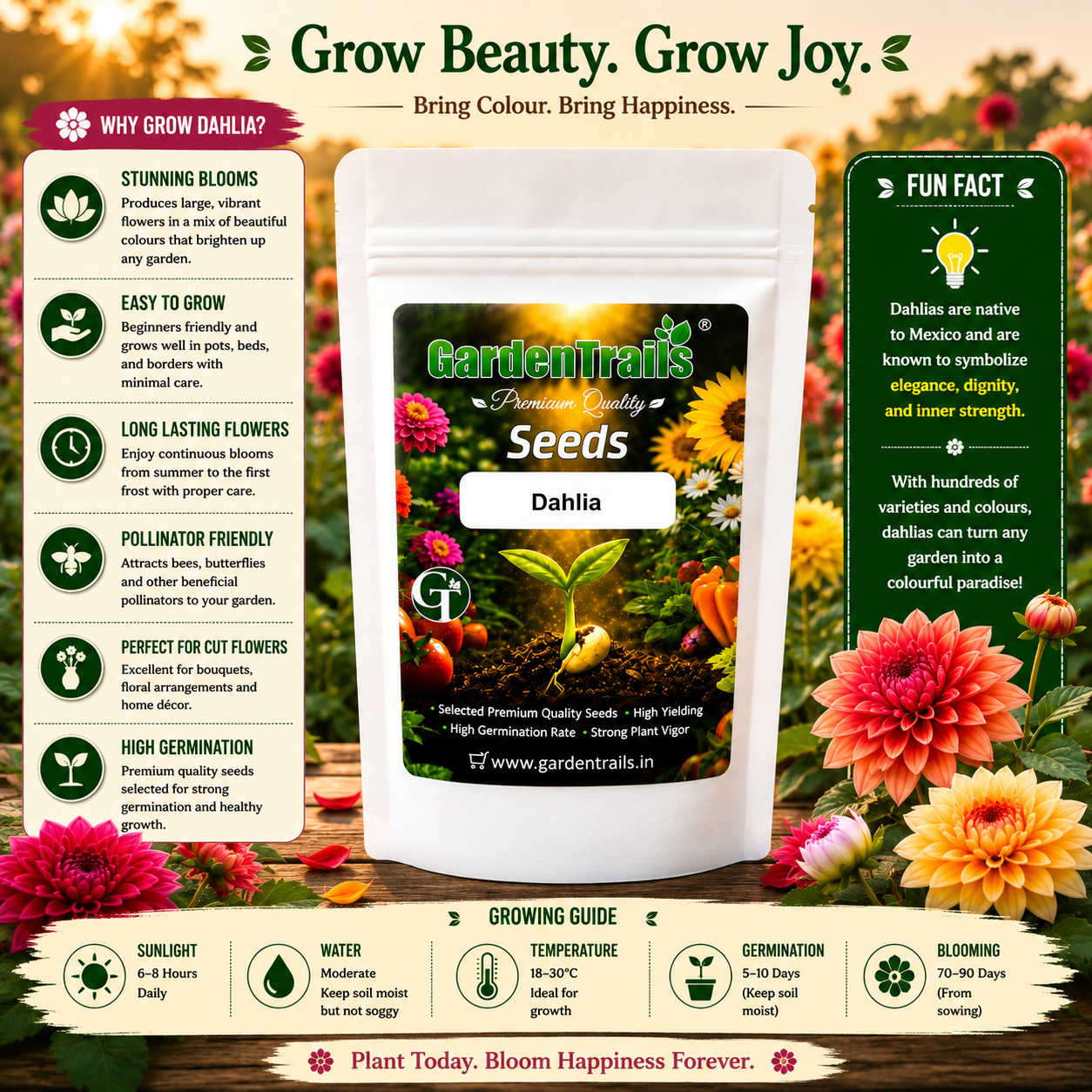 GardenTrails Dahlia Mixed Flower Seeds