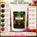 GardenTrails Dahlia Mixed Flower Seeds