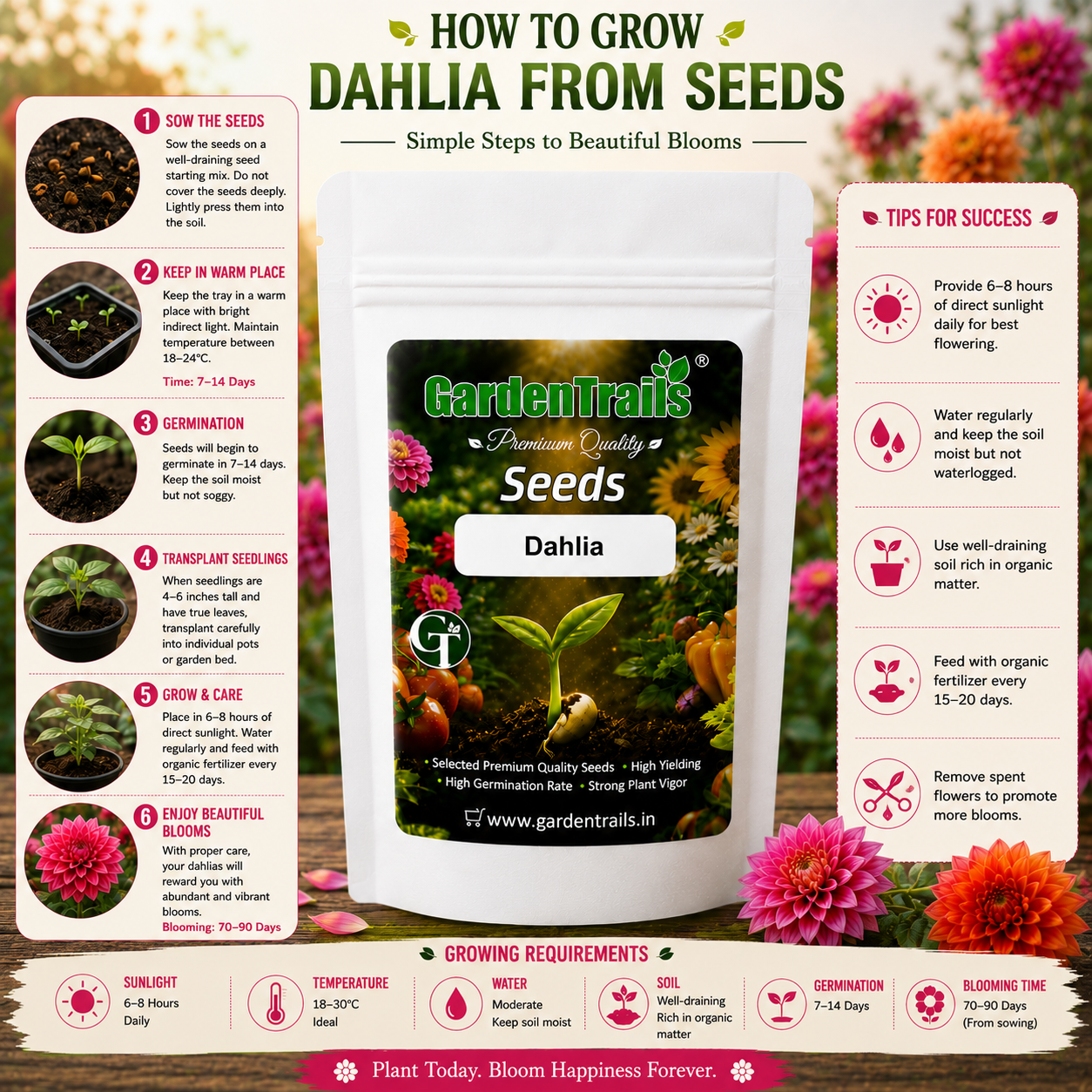 GardenTrails Dahlia Mixed Flower Seeds