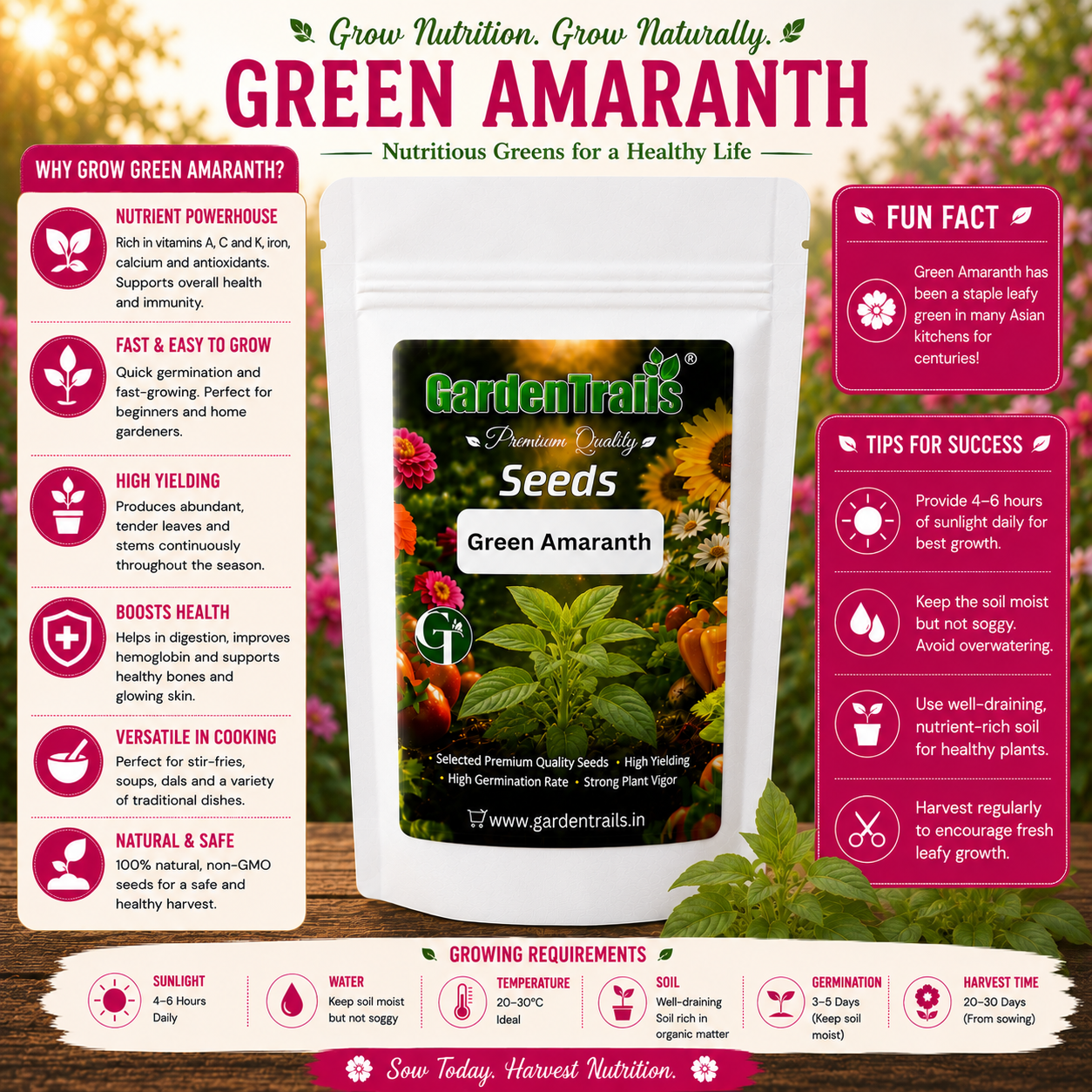 GardenTrails Green Amaranth / Pacha Thandu Keerai / Chaulai Spinach