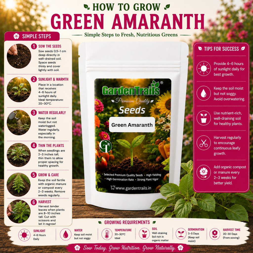 GardenTrails Green Amaranth / Pacha Thandu Keerai / Chaulai Spinach