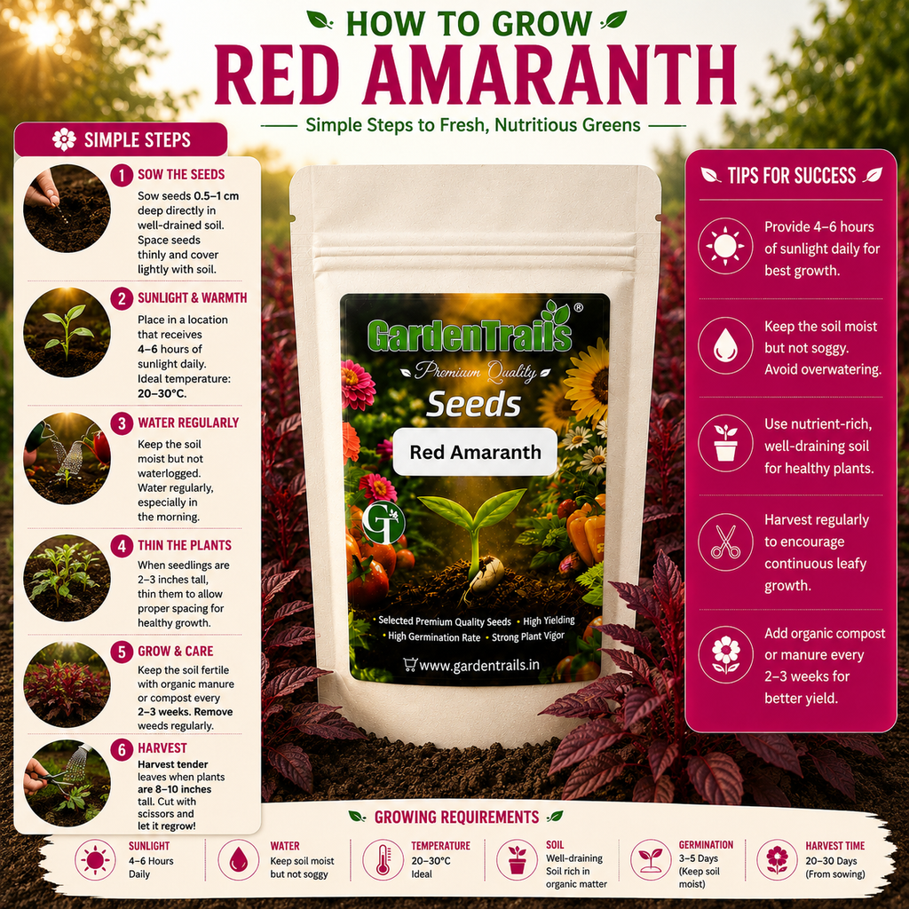 GardenTrails Red Amaranth / Sigappu Thandu Keerai / Lal Saag Spinach Seeds