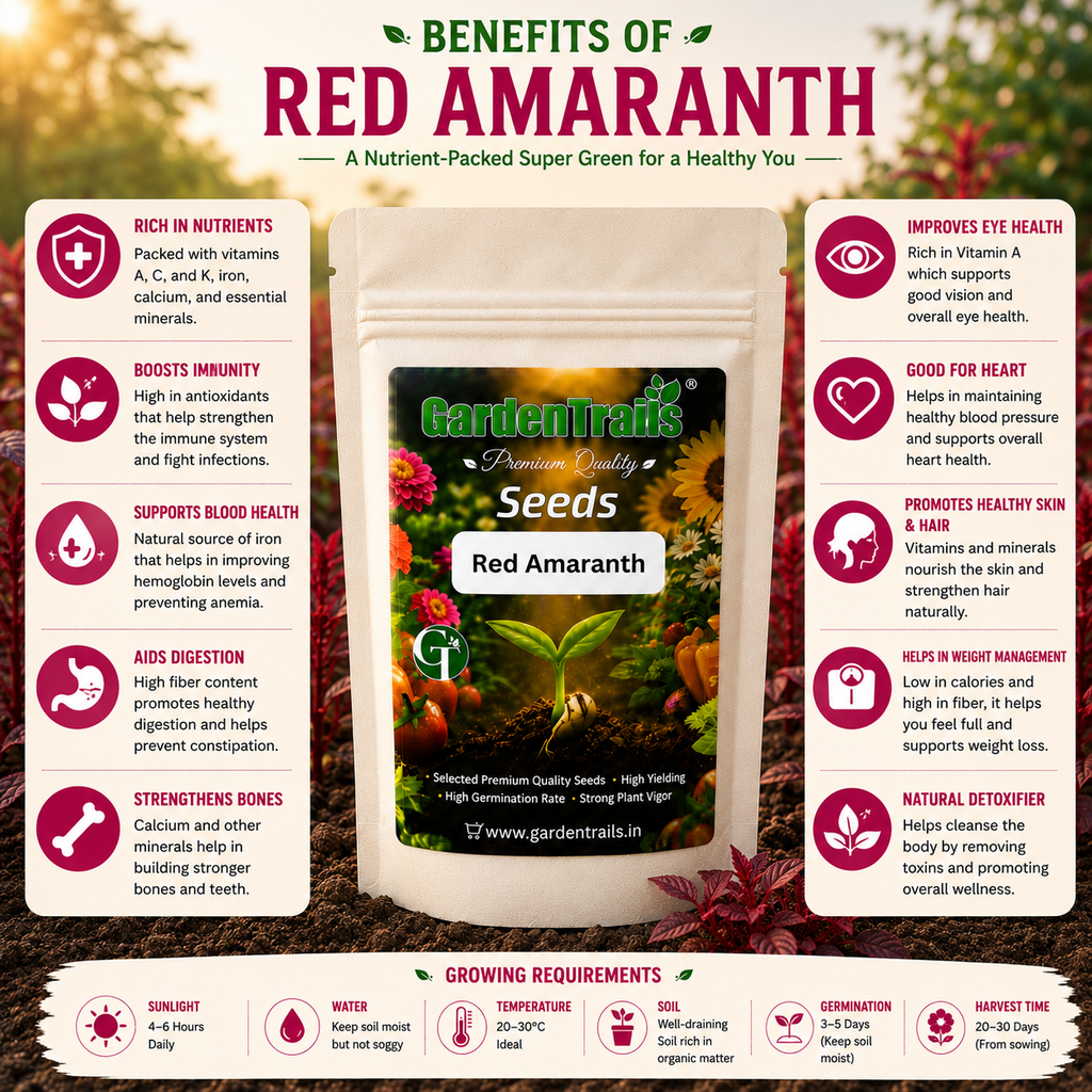 GardenTrails Red Amaranth / Sigappu Thandu Keerai / Lal Saag Spinach Seeds