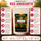 GardenTrails Red Amaranth / Sigappu Thandu Keerai / Lal Saag Spinach Seeds