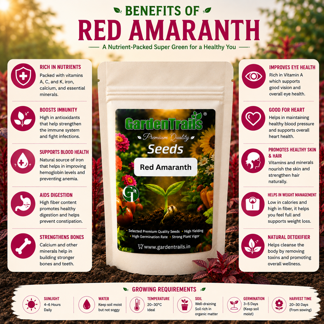 GardenTrails Red Amaranth / Sigappu Thandu Keerai / Lal Saag Spinach Seeds