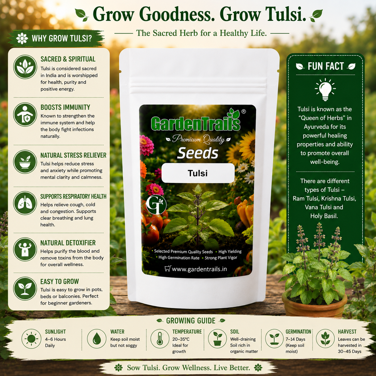 GardenTrails Tulsi Seeds - Holy Basil Seeds