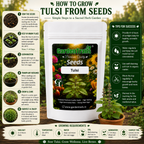 GardenTrails Tulsi Seeds - Holy Basil Seeds