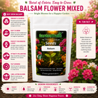 GardenTrails Balsam Mixed Flower Seeds