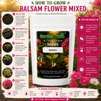 GardenTrails Balsam Mixed Flower Seeds