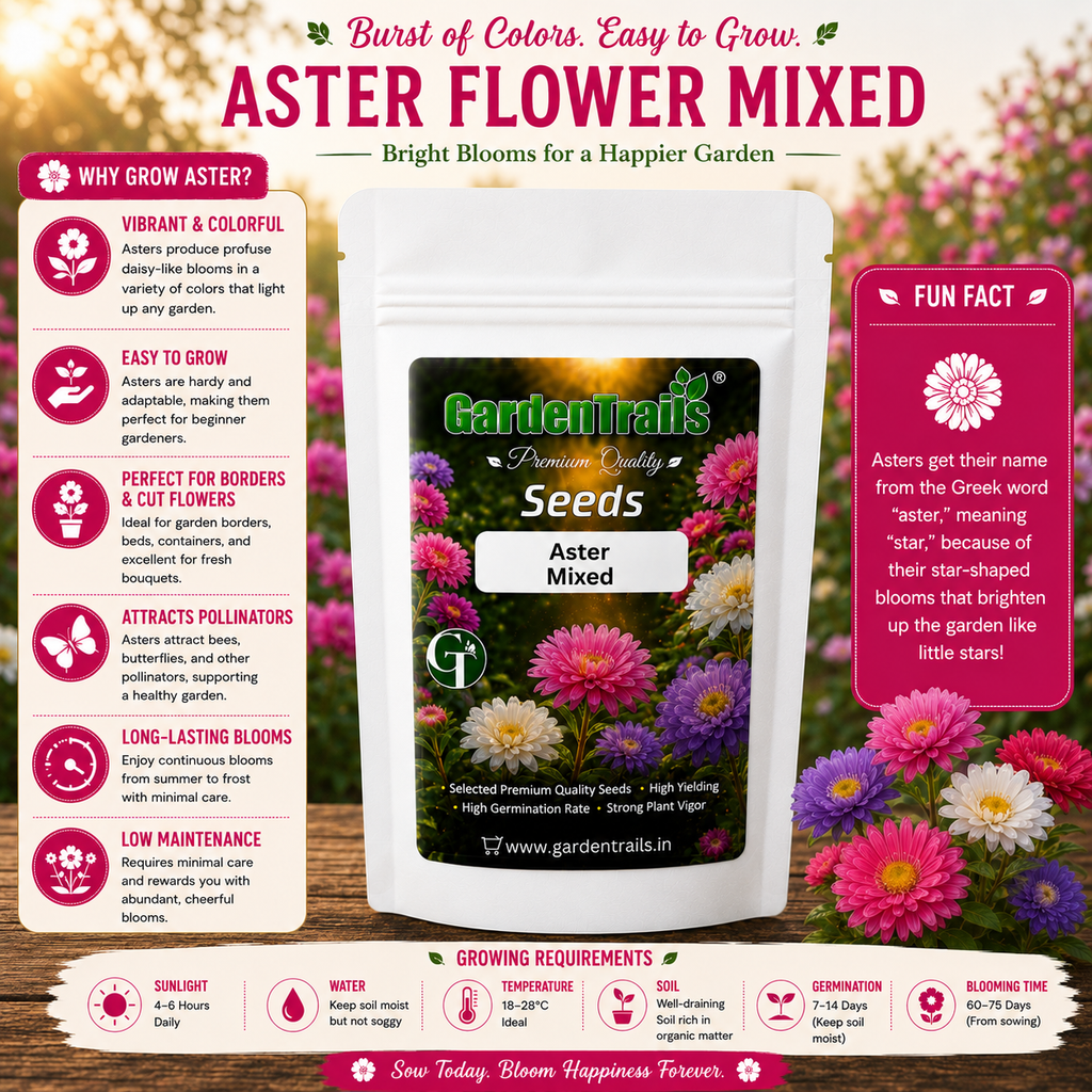 GardenTrails Aster Flowers Mixed Seeds