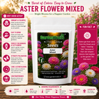 GardenTrails Aster Flowers Mixed Seeds