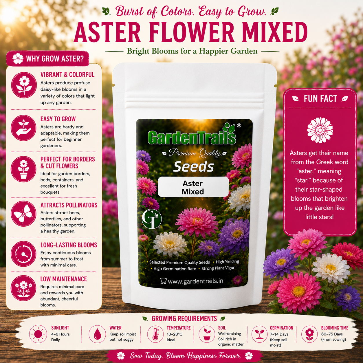 GardenTrails Aster Flowers Mixed Seeds