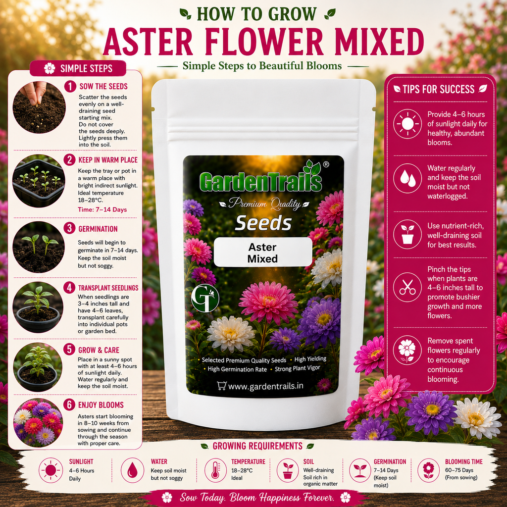 GardenTrails Aster Flowers Mixed Seeds