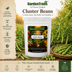 GardenTrails Cluster Beans Seeds