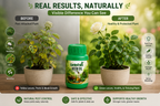 GardenTrails Premium Neem Oil for Plants – Natural Insect & Fungus Protection for Home Garden Plants | 250ml