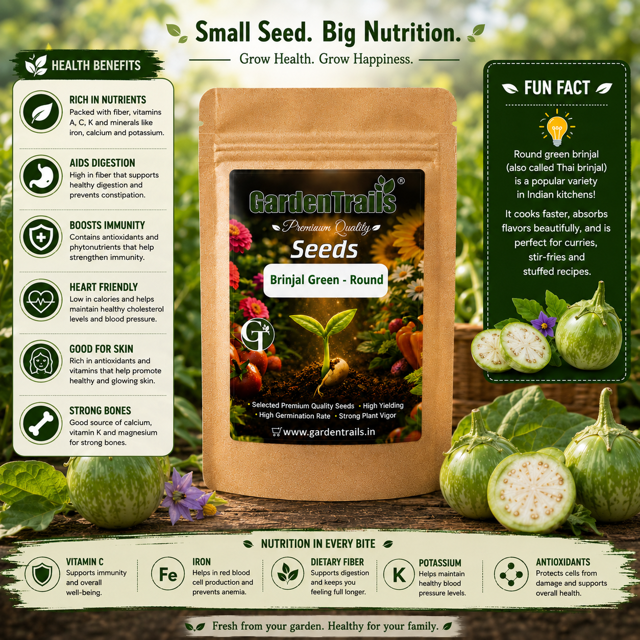 GardenTrails Green Round Brinjal Seeds for Home Gardening – High Germination Seeds