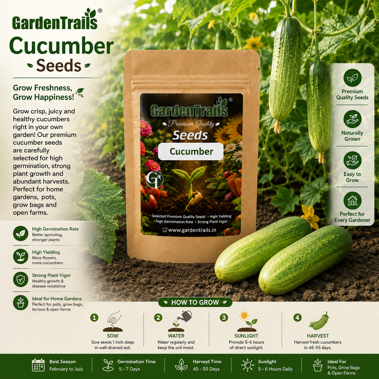 GardenTrails Cucumber Seeds for Home Gardening – High Germination Vegetable Seeds