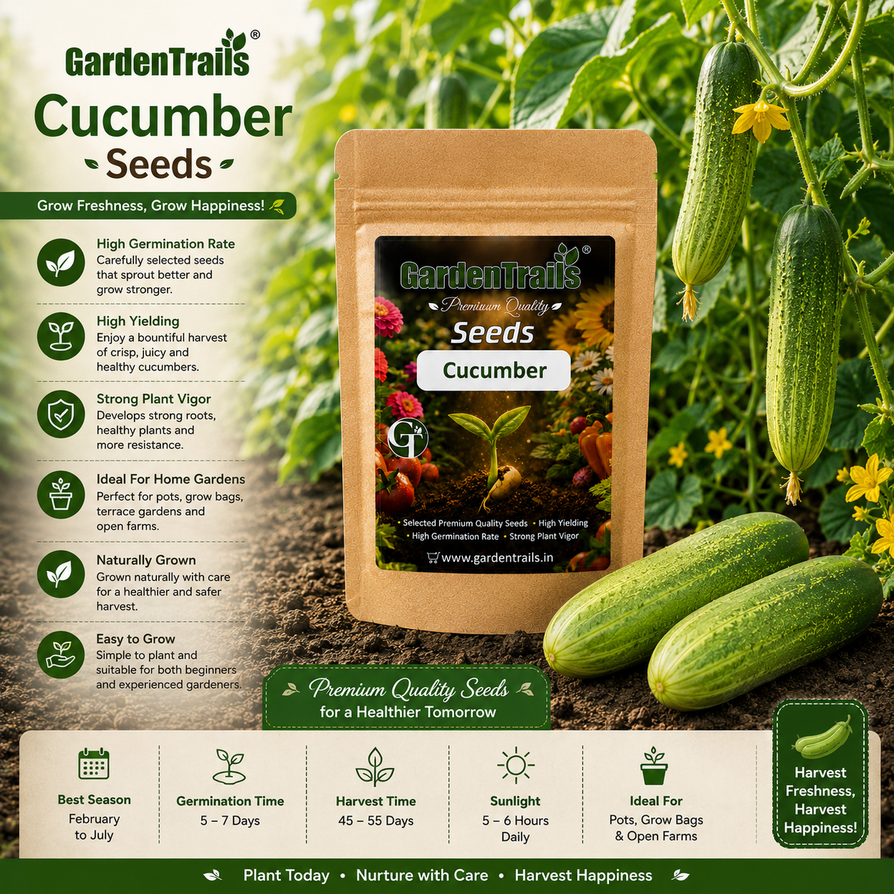 GardenTrails Cucumber Seeds for Home Gardening – High Germination Vegetable Seeds