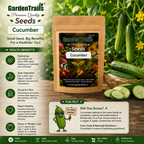 GardenTrails Cucumber Seeds for Home Gardening – High Germination Vegetable Seeds