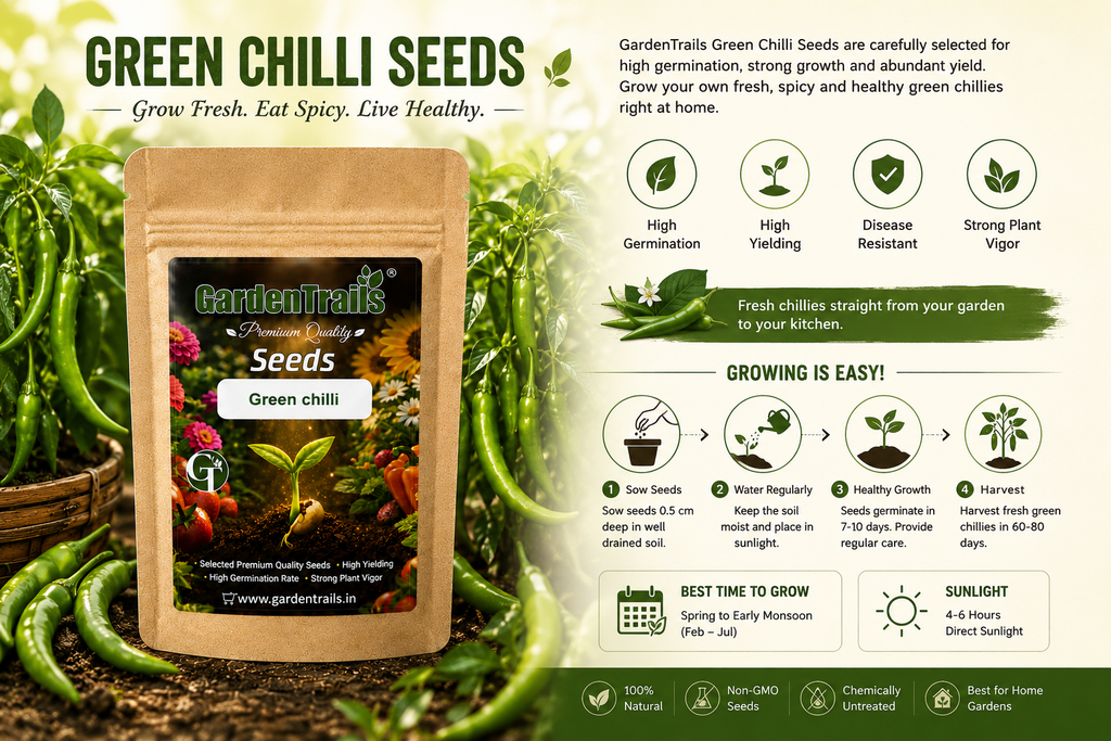 GardenTrails Premium Green Chilli Seeds – Grow Fresh Spicy Chillies at Home