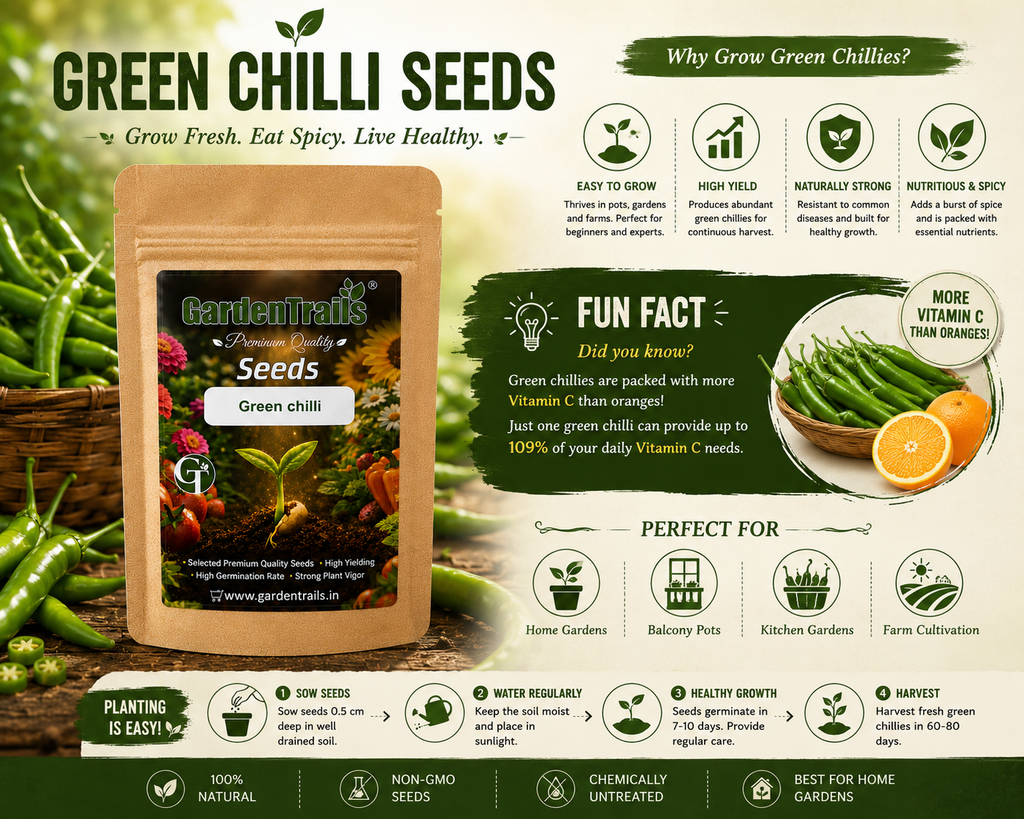GardenTrails Premium Green Chilli Seeds – Grow Fresh Spicy Chillies at Home