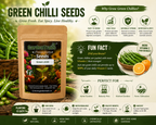 GardenTrails Premium Green Chilli Seeds – Grow Fresh Spicy Chillies at Home