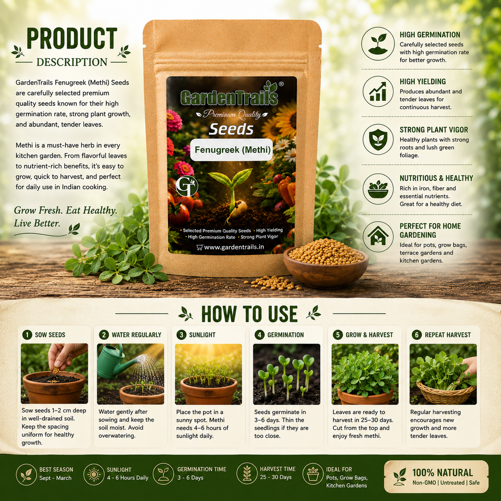 GardenTrails Premium Fenugreek (Methi) Seeds – Grow Fresh Healthy Greens at Home