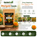 GardenTrails Marigold Flower Seeds for Home Gardening – High Germination Seeds