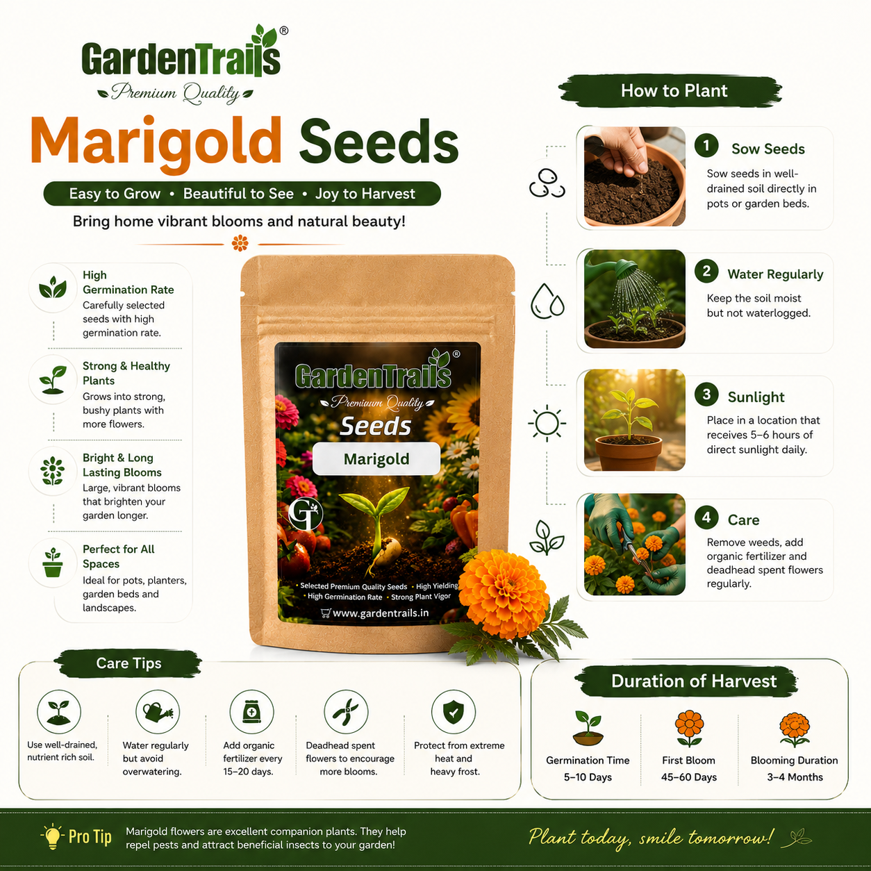 GardenTrails Marigold Flower Seeds for Home Gardening – High Germination Seeds
