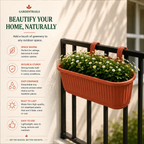 GardenTrails Hanging Railing Planter - Plastic Pot with Drainage Tray - Teracotta