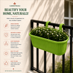 GardenTrails Hanging Railing Planter - Plastic Pot with Drainage Tray - Green